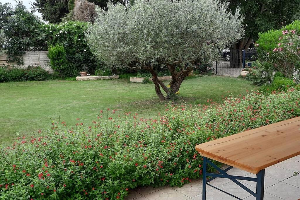 Villa L'Estel En Campagne Avec Piscine Privee Proche Arles Et Avignon Тараскон Екстер'єр фото